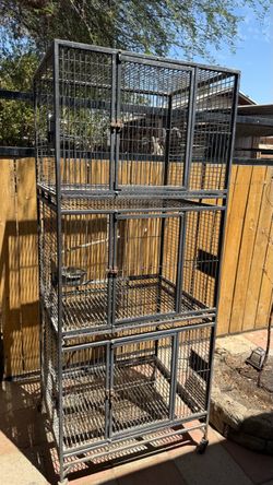 Cockatiels breeding cages