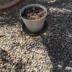 Pot With Stand