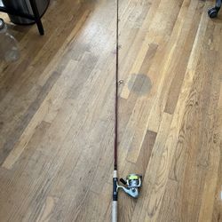 Fishing Rod And Reel 