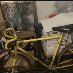 Schwinn 1972 Varsity Bike