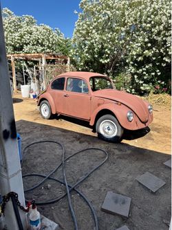 1969 Volkswagen 1600