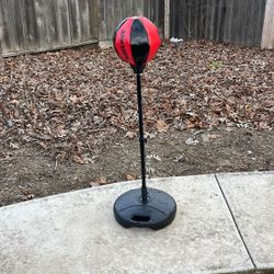 Kids Mike Tyson Punching Bag 