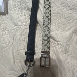Coach Belts