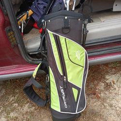 $25 Mini Sized Golf Clubs And Bag