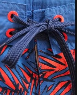 Men's Blue/Red Bathing Suit - Size Medium