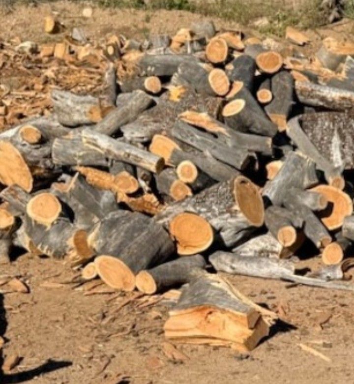 Firewood Alligator Juniper π₯ πͺ΅