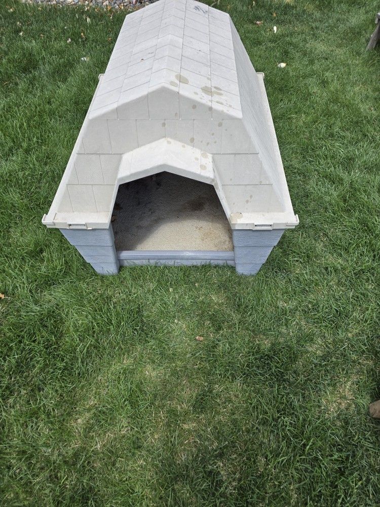 Doghouse
