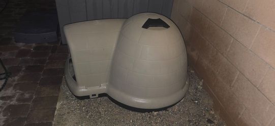 DOG HOUSE