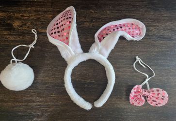 Bunny costume