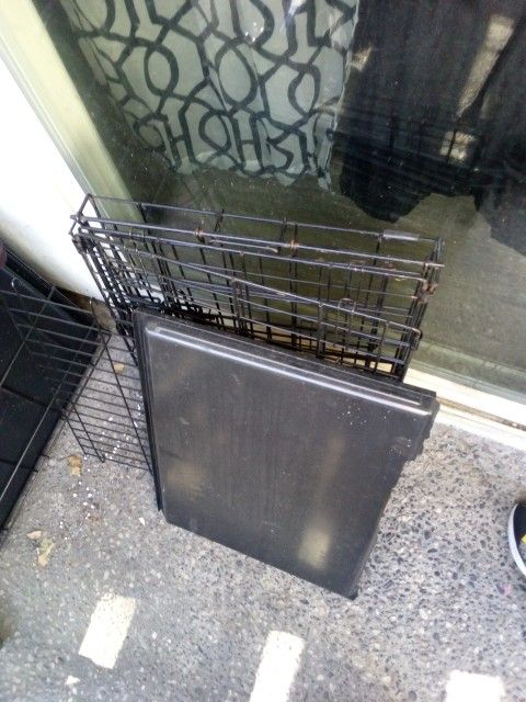 Black Dog Cages