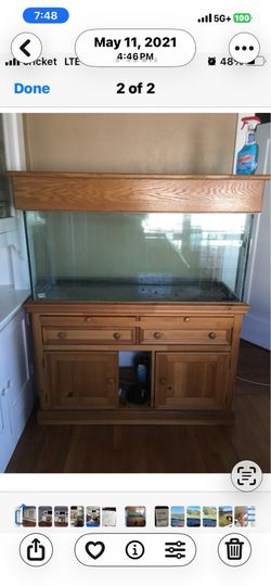80 gallon fish tank