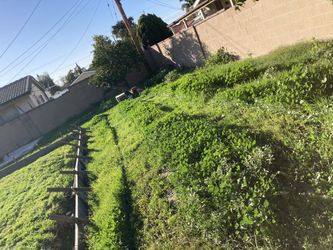 Yard Clean Up 