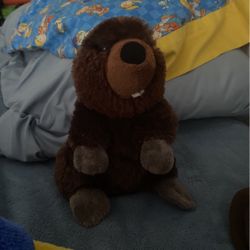 Washington Bearver 
