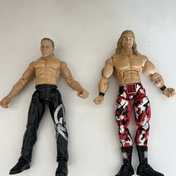 WWE Action Figure