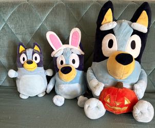 Bluey bundle