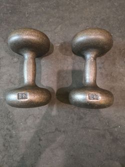 Rare Vintage Roundhead 20lb Dumbbells
