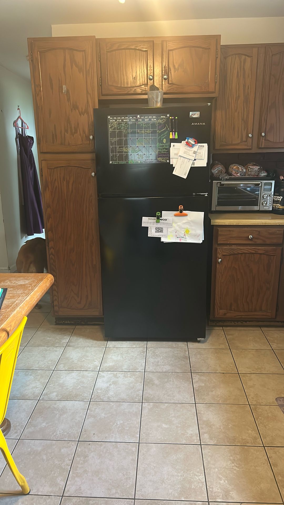 Black Refrigerator 