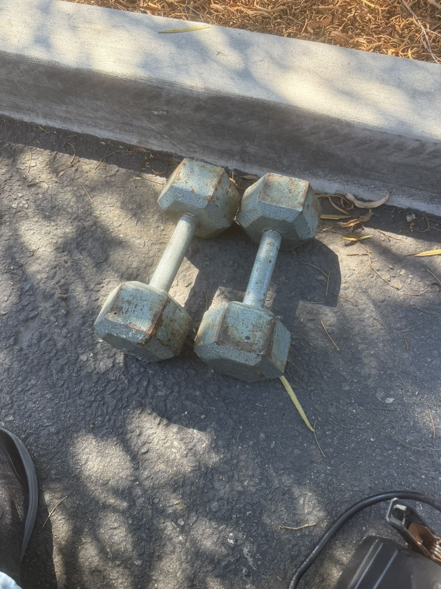 20lb Dumbbells