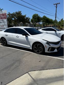 Tint for sale