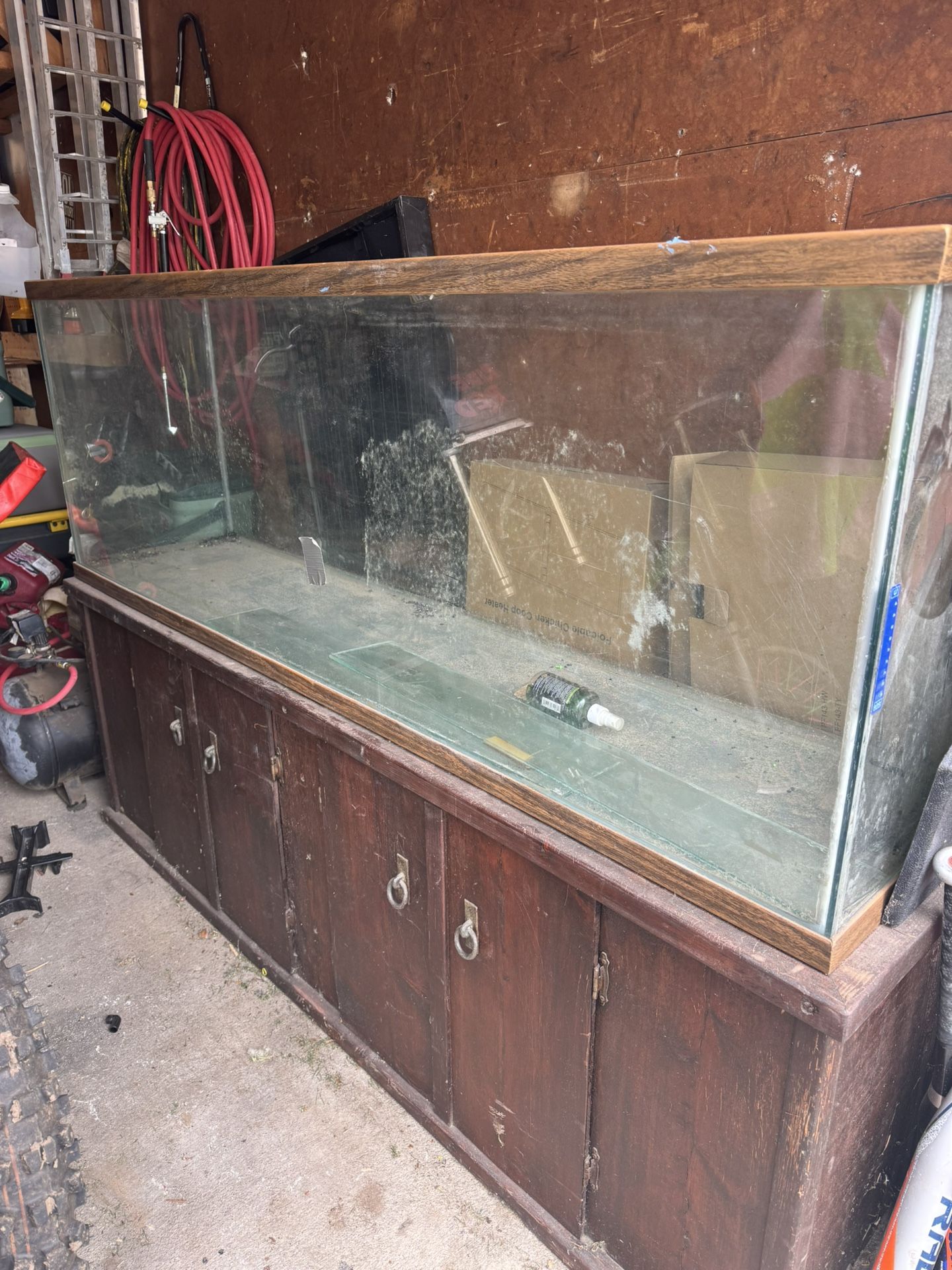 fishtank