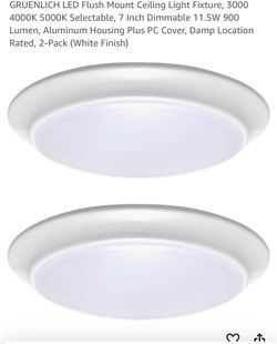 GRUENLICH LED Flush Mount Ceiling Light Fixture