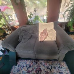 Love Seat And Couch