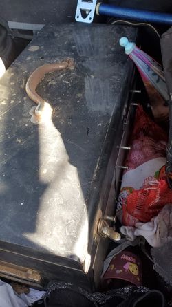 Tool box with tools