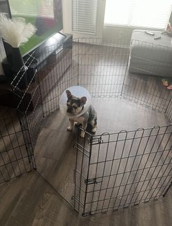 DOG CRATE Black