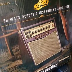 Acoustic Amp Speaker