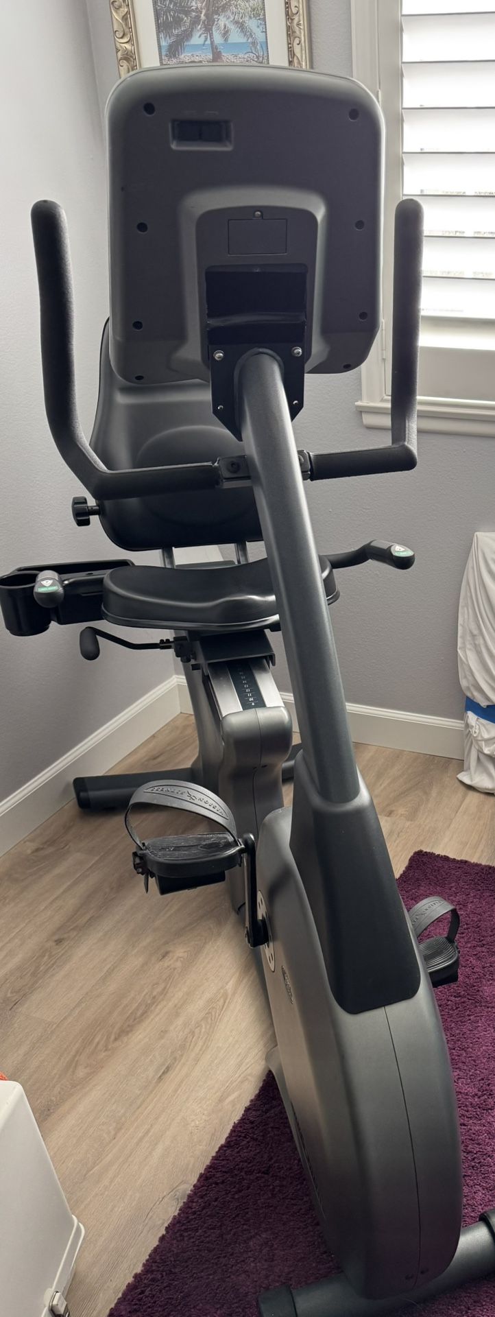 Recumbent Bike $200