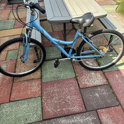 Diamondback Comfort Plush / Wildwood  Women’s/Girls Bicycle