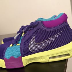 Nike Lebron James 10.5