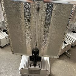Gavita Plant Light