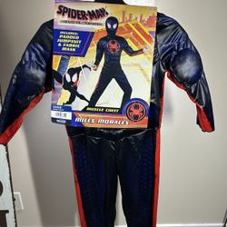 Spider-Man Across The Spider Verse Costume