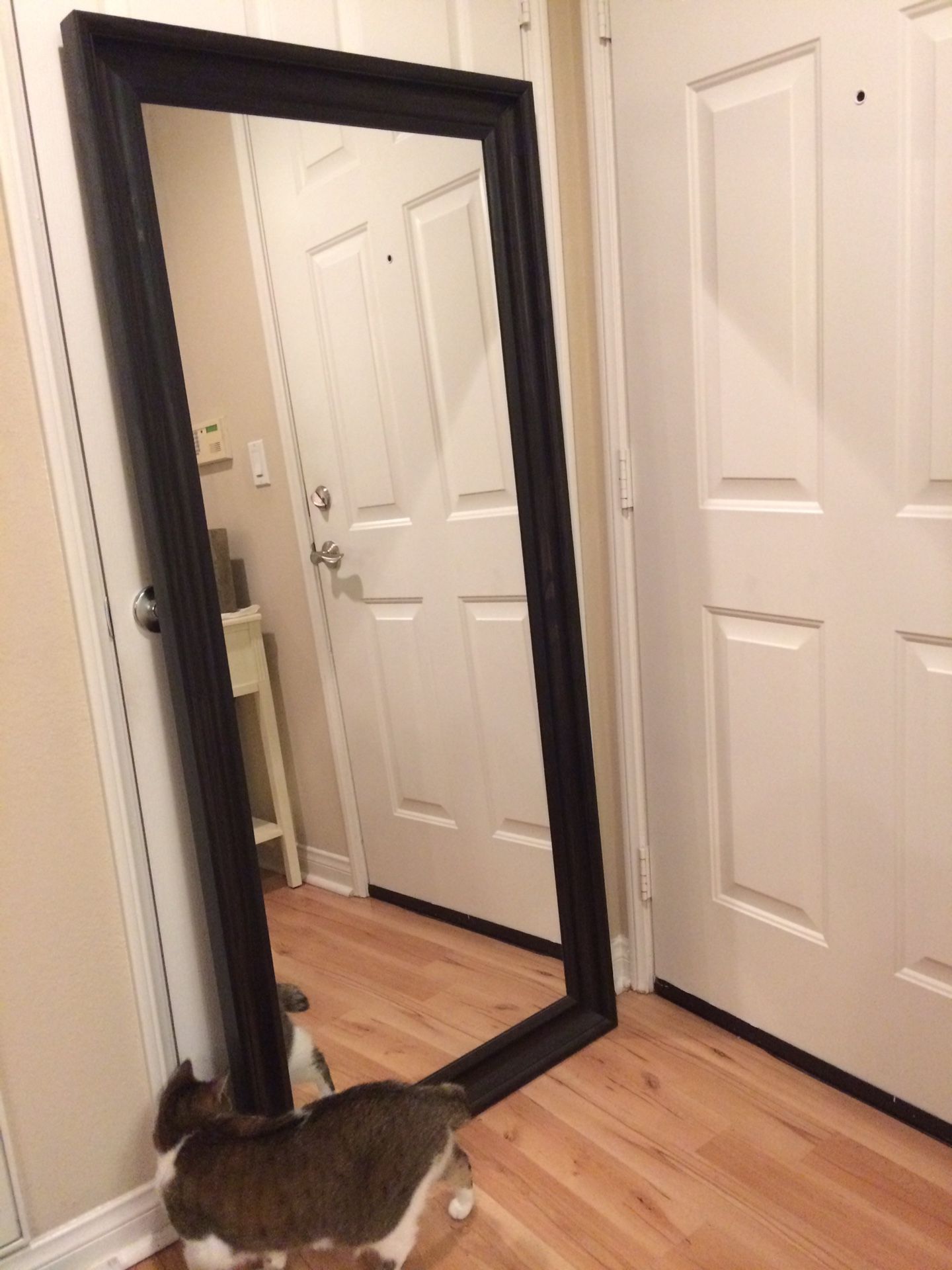 IKEA hemnes mirror tall