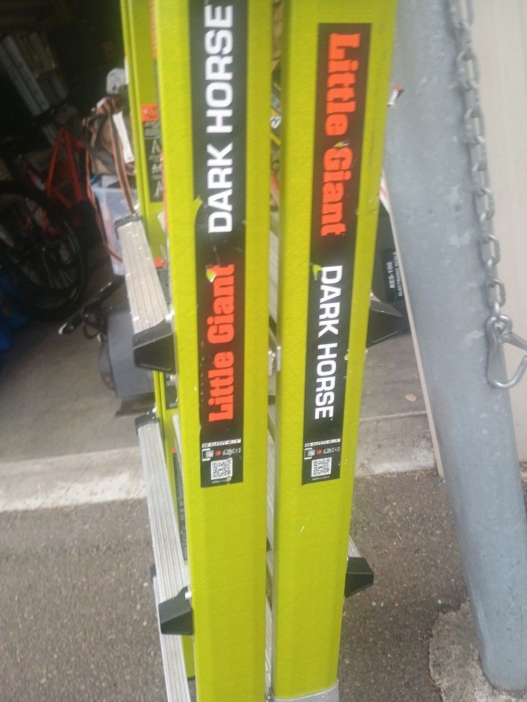 Little Giant Dark Horse,Used Once