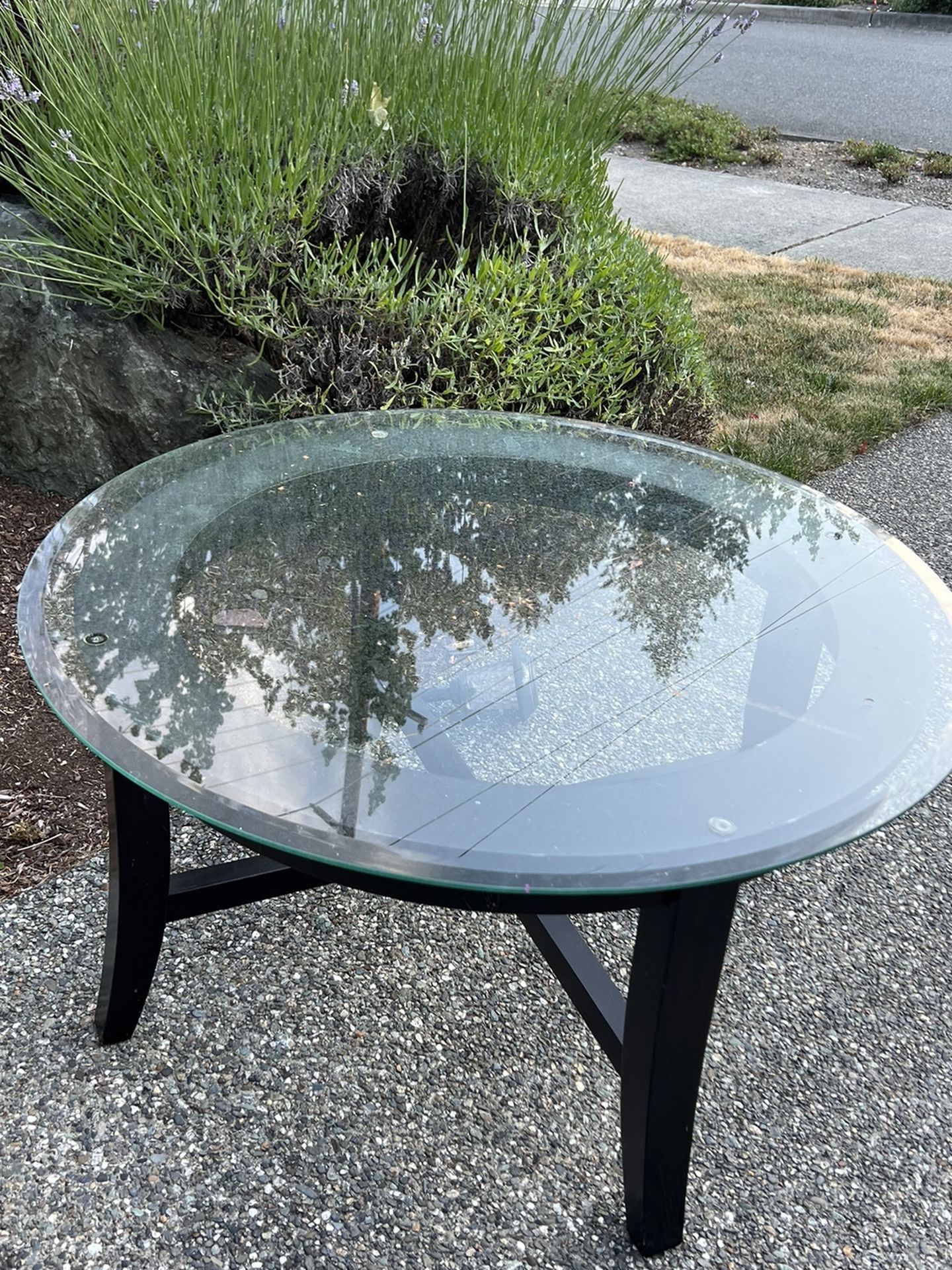 Glass Coffee Table