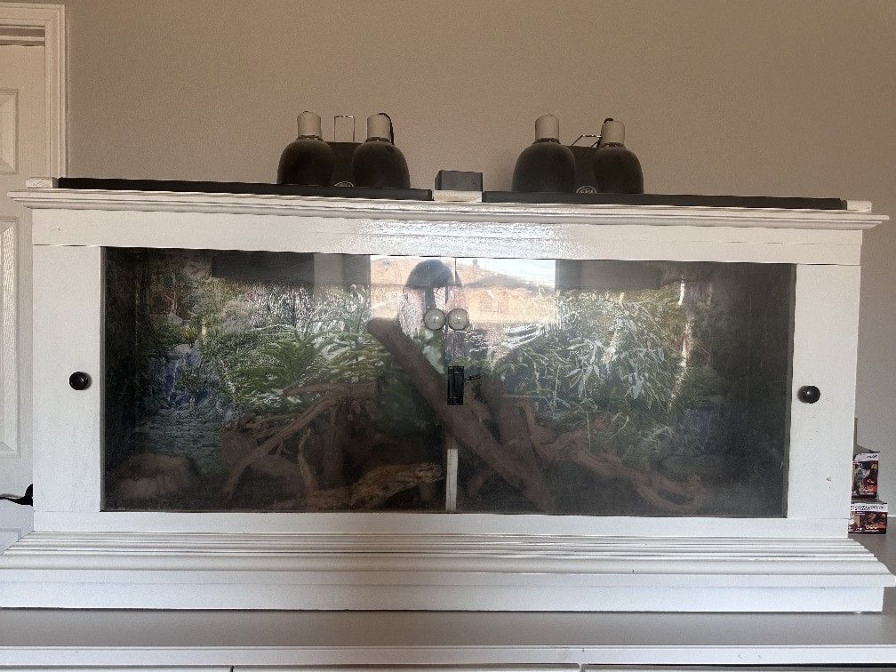 Reptile Cage For Sale