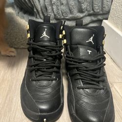 Air Jordan 12 Retro “The Master” size 5.5