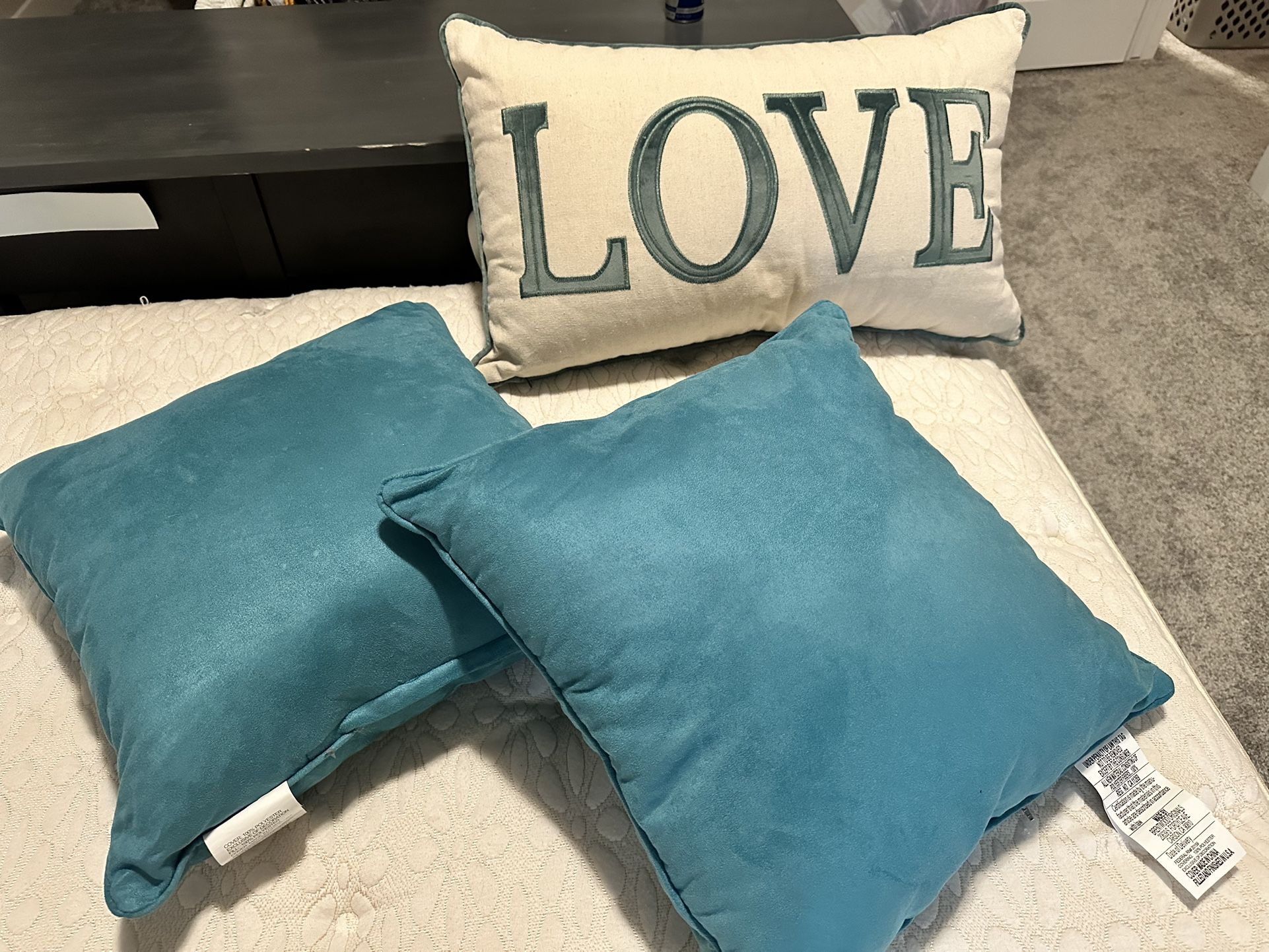 Set Of 3 Pillows- Used To Stage A House