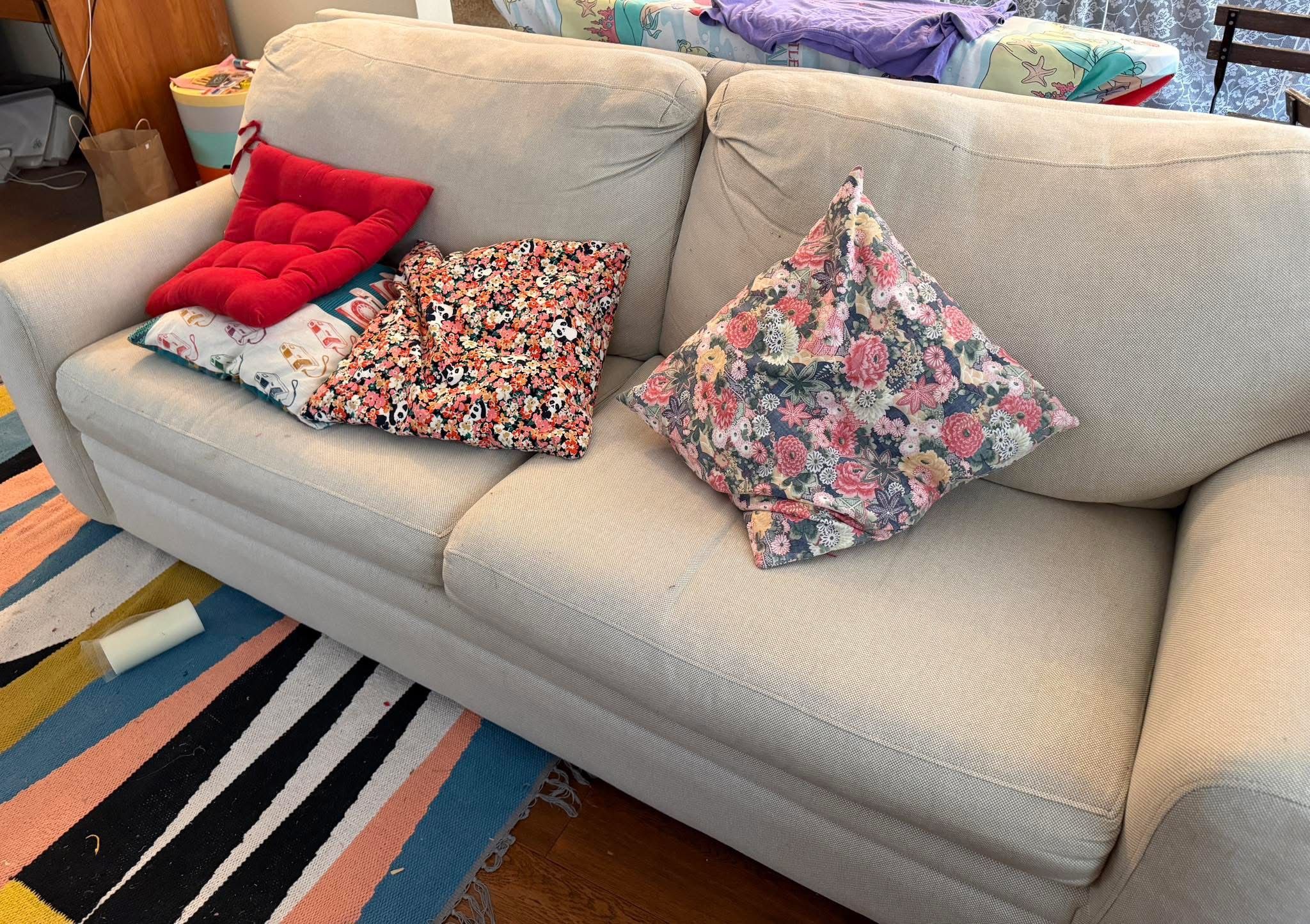 FREE Sleeper Sofa in Good Condition