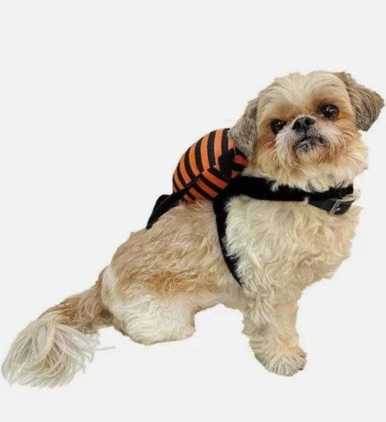 Woof Pet Halloween Costume SPIDER RIDER