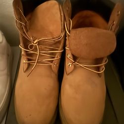 Wheat Timberland 