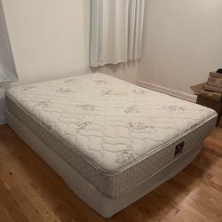 Serta Queen Mattress & Box Spring Set - Sturdy & Comfy - Pet/Smoke-Free