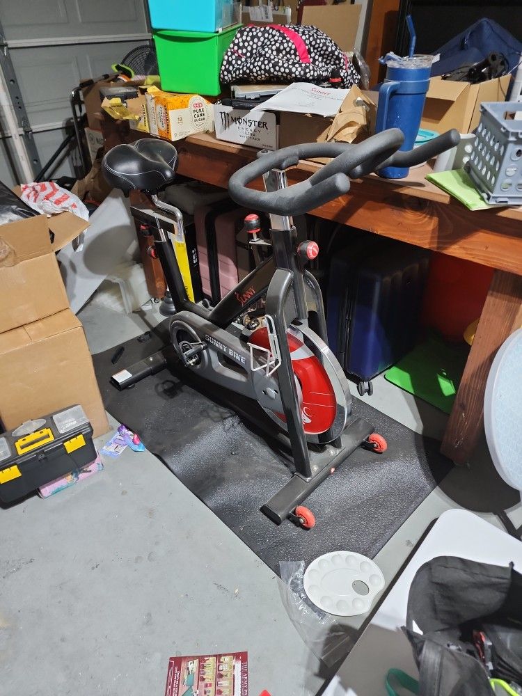 Sunny Exercise Bike
