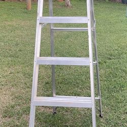Werner 6 ft. Aluminum Step Ladder