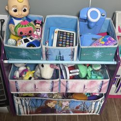 frozen theme cubby