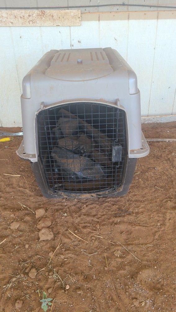 cage for medium dogs $75