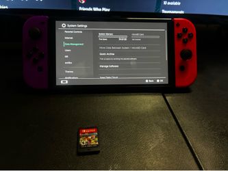 Nintendo switch