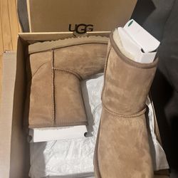 Brand New Chestnut Classic Uggs